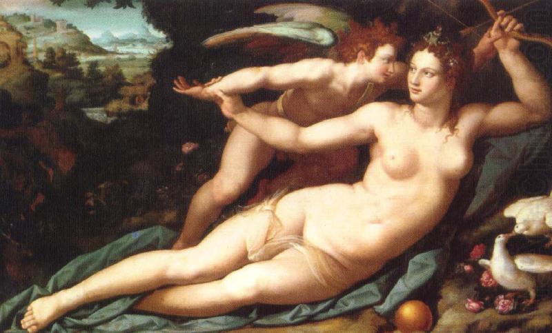 Venus and Cupid, unknow artist